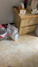 福茗源茶叶 油切黑乌龙茶 浓香高浓度木炭油切技法茶多酚袋装500g口粮茶 实拍图