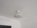 雷士（NVC）LED照明风扇灯一体吊扇灯餐厅卧室简约三防全光谱1级能效36寸 实拍图