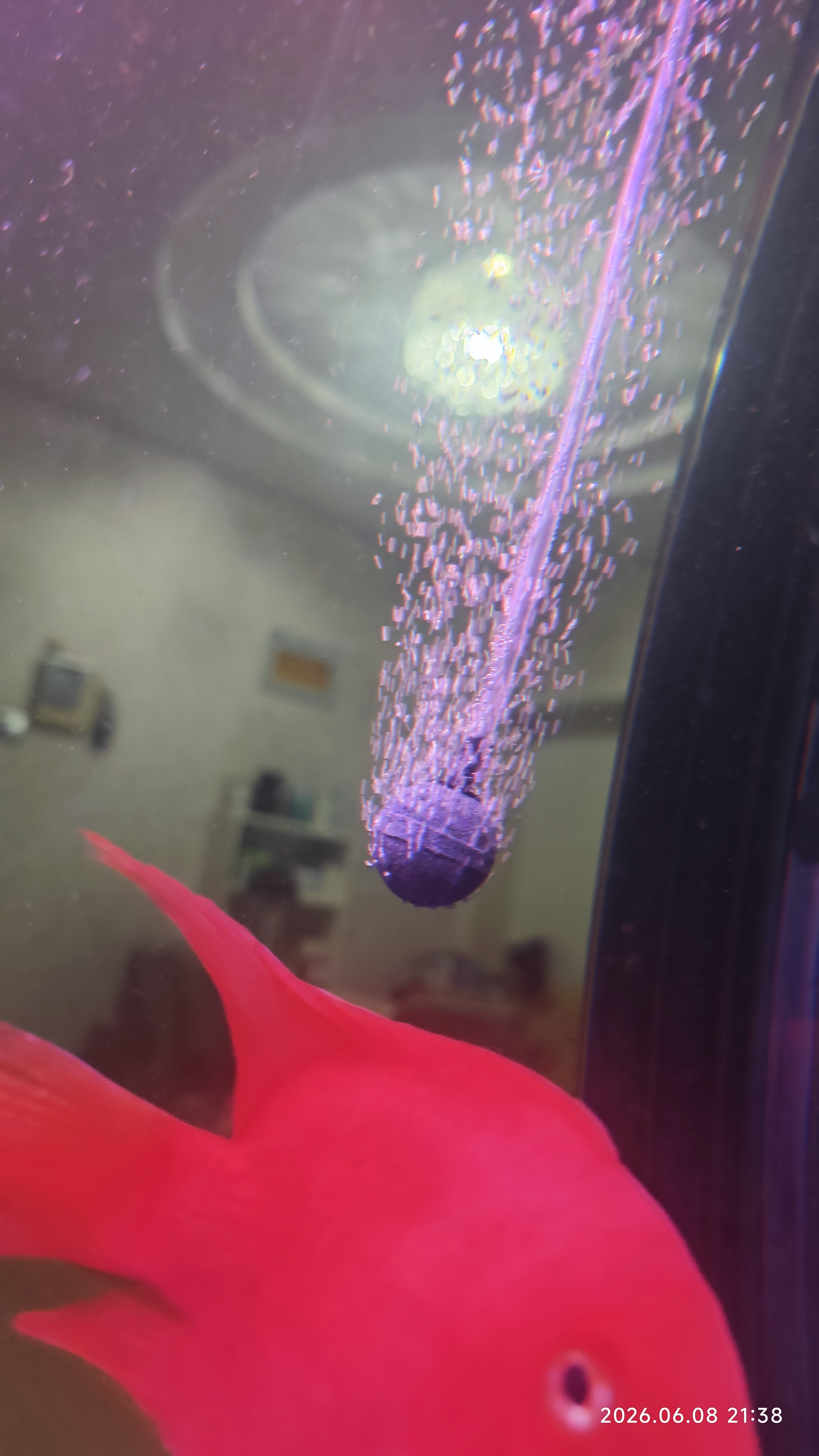 YEE鱼缸氧气泵配件双孔气石套餐氧气泵管气泡石鱼缸水族箱水族用品 实拍图