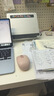 罗技（Logitech）M196 无线蓝牙鼠标 办公鼠标 笔记本商务办公家用 小巧便携 对称手型 玫瑰粉 实拍图
