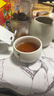 福茗源茶叶 贵宾普洱茶陈皮普洱生茶2019饼茶盒装6泡30g便携茶叶自己喝 实拍图