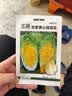 北蔬 黄心娃娃菜种子苗四季小白菜秋冬季菜种子 农家黄心娃娃菜种子5g 实拍图