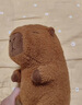 熊猫熊卡皮巴拉玩偶公仔布娃娃毛绒玩具儿童送女孩生日礼物女生睡觉抱枕 实拍图