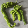 【东东买菜】新鲜薄皮肉厚香辣螺丝椒新鲜采摘青椒虎皮辣椒 福建新鲜螺丝椒1斤净重0.8斤 实拍图