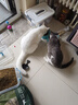 京东京造猫粮牛肉味全价鸡肉粮鱼油通用型猫粮成猫幼猫2kg 实拍图