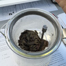 尚明（SAMADOYO）玻璃内胆飘逸杯泡茶壶茶水分离过滤冲茶具套装红茶家用办公沏茶壶 金色800ml 实拍图