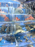 百舸 指示牌立式引导牌 水牌立牌展示架不锈钢 标识牌升降旋转广告牌会议车间仓库货位牌 A4银色直角CW739218 实拍图