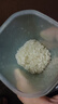 十月稻田 寒地之最 东北长粒香大米 8斤*4/箱装（品质甄选 16kg/32斤） 实拍图