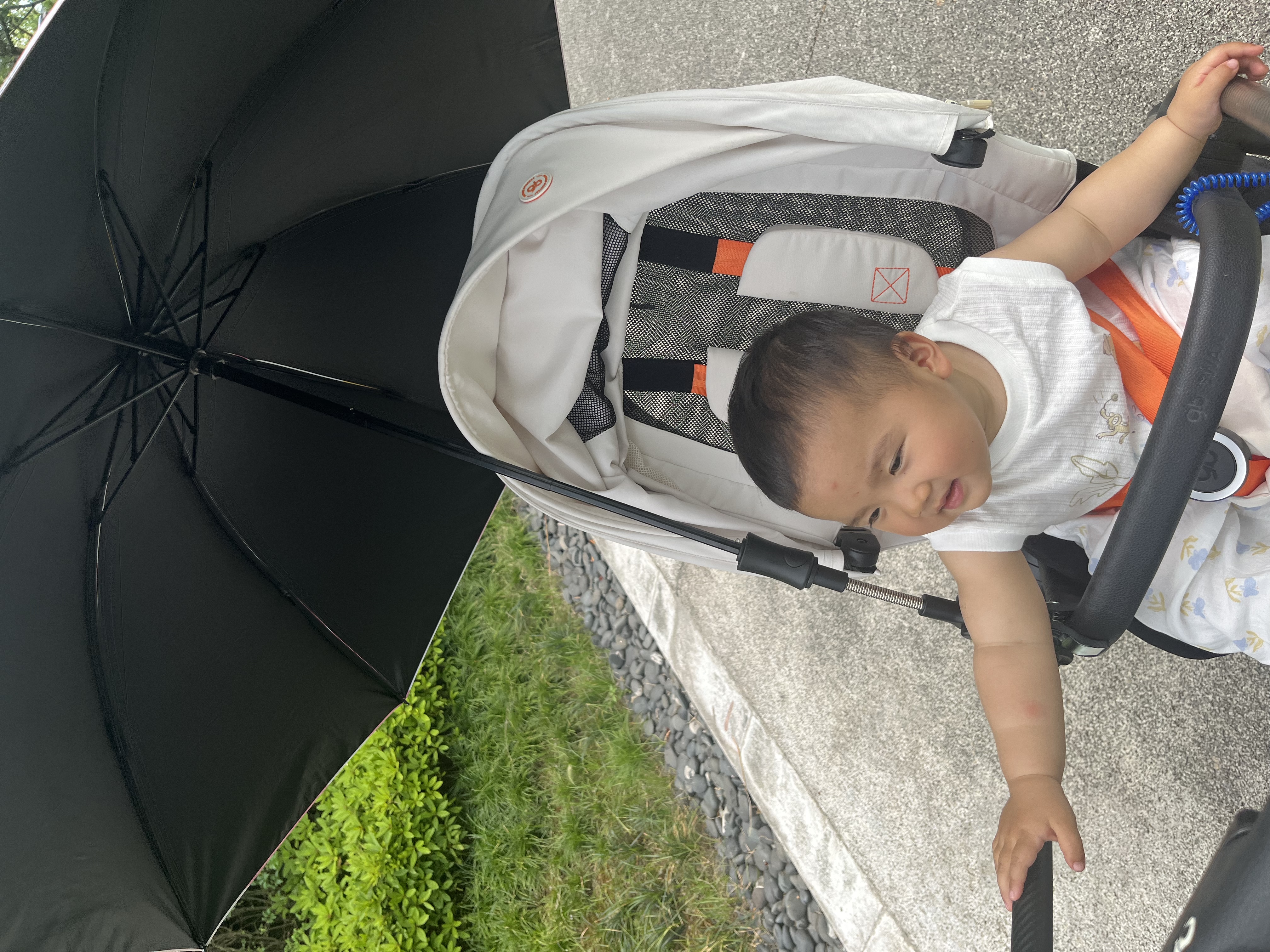 爱贝迪拉（AIBEDILA）婴儿车遮阳伞遛娃神器宝宝专用小手推车儿童口袋通用防晒太阳雨伞 【UPF50+加大折叠款】直径100cm-糯糯萌狗（晴雨两用） 实拍图