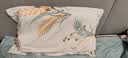 洁丽雅（Grace）亲肤四件套1.8/2米床上用品被单床单枕套被套220*240cm 春晓 实拍图