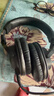 铁三角（Audio-technica）ATH-M40x 专业监听头戴式耳机 单耳监听直播音乐剪辑听书 实拍图