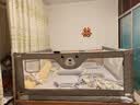 M-CASTLE床围栏宝宝床护栏婴儿童床边防摔挡板防掉床上护栏单边升降免打孔 星灰 三面装 (组合款免打孔安装) 1.8米床型(1.8米+2.0米+2.0米) 实拍图