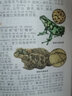 动物百科全书 彩图注音加厚原著完整版儿童文学名著青少版课外读物小学生一二三四五六年级课外阅读书推荐阅读书目 实拍图
