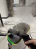 KARCHER德国卡赫 【价保618】蒸汽拖把家用高温蒸汽清洁机厨房油烟机全屋清洁洗地机温度显示杀菌除螨SC5D 实拍图