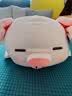 名创优品（MINISO）小猪B-BO弹力超柔趴姿公仔毛绒玩偶儿童玩具抱枕靠枕生日礼物女 实拍图