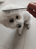 HELLOJOY宠物猫咪狗狗排梳猫梳子宠物去浮毛开结钢梳布偶长毛猫专用猫毛梳 实拍图
