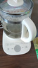 苏泊尔（SUPOR）养生壶 1.5L煮茶器花茶壶 电水壶烧水壶电热水壶开水壶 保温煮茶壶玻璃电茶壶 SW-15YJ33B 实拍图