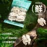核桃鲜风去皮鲜核桃仁独立小包装【10包】180g 源头直发 实拍图