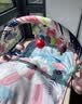 babycare婴儿健身架脚踏钢琴0-1岁新生儿见面礼物宝宝安抚玩具奥尼克狮子 实拍图