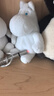 京东京造 逗猫棒激光笔灯便携超长续航多光多用途图案猫玩具可照猫藓紫光 实拍图