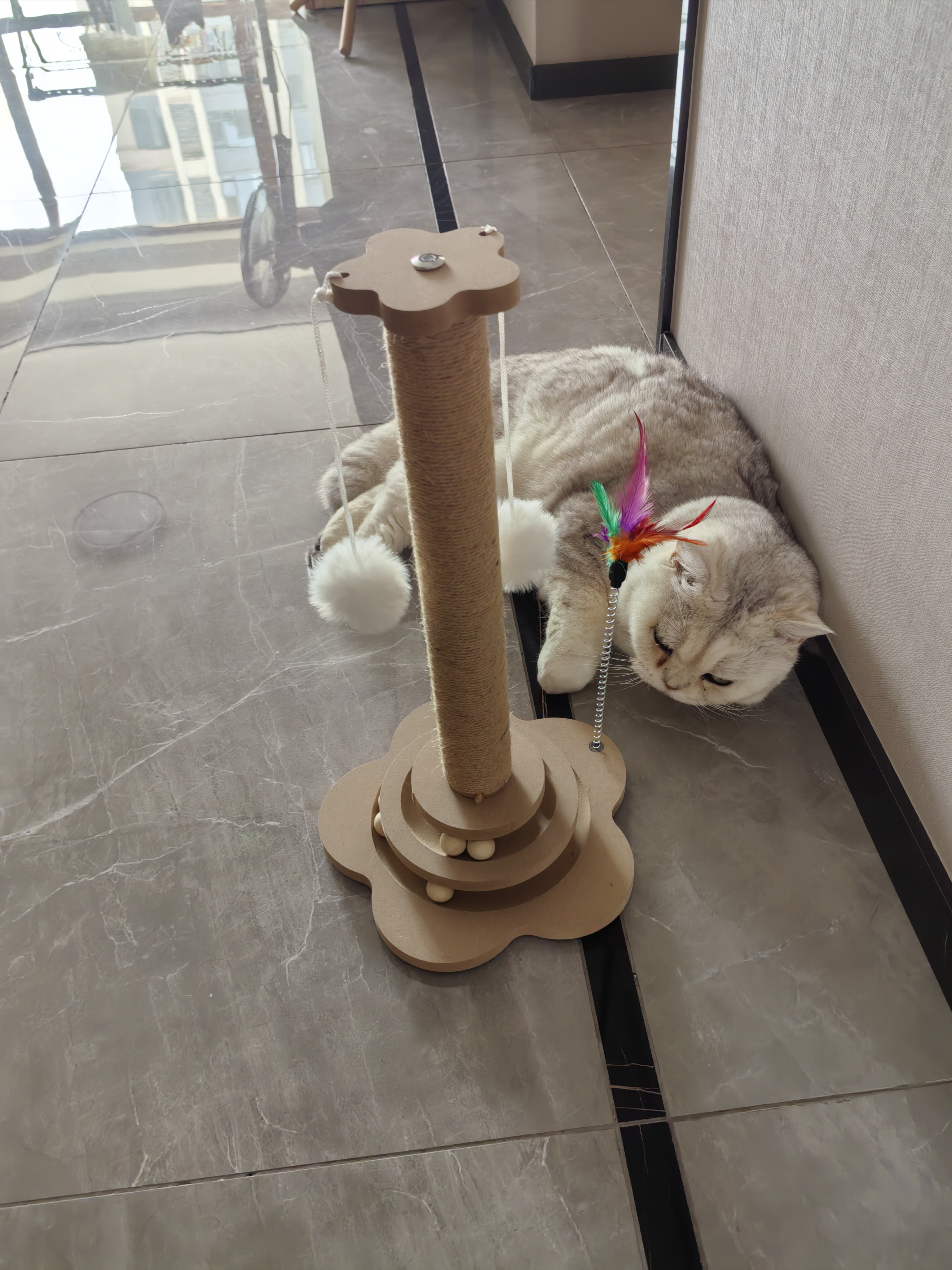 欢宠网猫抓柱猫抓板猫爬架猫玩具猫咪立式剑麻自嗨解闷神器猫猫小猫幼猫 实拍图