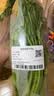 带根香菜100g 实拍图
