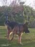优越者USB3.0移动硬盘盒2.5英寸外置硬盘盒 适用笔记本电脑台式机外接SATA串口SSD固态机械硬盘盒子S240A 实拍图