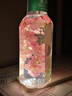 农夫山泉东方树叶菊花普洱500ml*15瓶无糖茶饮料0糖0脂0卡饮品整箱装 实拍图