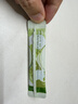 京东京造100%有机纯菊粉28条 高膳食纤维肠道调节减肥减脂便秘通便 实拍图