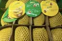 佳沛（zespri）新西兰 金果12粒特大果单果124-146g 端午节礼物水果礼盒 猕猴桃 实拍图