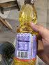 京觅【保真亚麻籽油】冷榨亚麻籽油500ml 热炒胡麻油 食用油高亚麻酸 实拍图