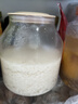 OIDIRE（偶点）酸奶机 家用全自动酸奶发酵机纳豆机米酒机智能恒温酵素泡菜果醋果酒发酵机 ODI-SA21 实拍图