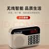 纽曼N63 收音机老年人专用 充电便携式随身听  可插卡小型播放器 听歌戏曲音箱半导体京东自营 金色 实拍图