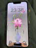 闪魔 适用苹果13钢化膜 iphone13pro手机膜全屏13promax防爆顺滑手感无边高清抗指纹保护膜 【T1-Pro】高清防爆-3片装+神器 苹果13/13Pro 实拍图