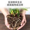漫生活16L进口营养土通用型 种菜土养花土进口泥炭土椰糠花卉有机土壤 实拍图