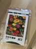 史丹利椰糠砖650g 椰土砖椰砖营养土脱盐花土耶砖种菜通用型 实拍图
