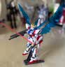 万代（BANDAI）HG1/144星际创制强袭高达帕拉夫斯基之翼 中文版 实拍图