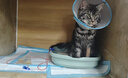 pidan猫砂 纯豆腐猫砂2.4kg*6包强力吸臭不易带出 可冲厕所非膨润土砂 实拍图
