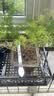 漫生活发酵羊粪约10斤土壤改良基质伴侣有机肥原料蔬菜绿植花卉果树盆栽 实拍图
