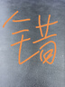 李宁（LI-NING）沙袋绑腿负重跑步训练沙包康复腿部脚踝手环腕运动2kg 实拍图