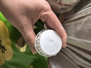 赤川黄小米5斤（内蒙古赤峰小米粥杂粮粥）蒸饭更软糯敖汉原产地 实拍图