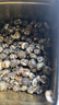 陈一凡茉莉花茶龙珠250g 浓香型新茶广西横县茉莉绣球窨制绿茶茶叶袋装 实拍图