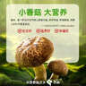 仲景 香菇酱原味23gx28袋 实拍图