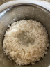 OIDIRE（偶点）酸奶机 家用小型全自动恒温酸奶机酵素机米酒机纳豆智能精控温发酵机1L大容量不锈钢内胆 升级款 | 一键做酸奶（带陶瓷分杯*4）·云柔白 实拍图