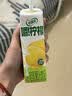 伊利【G.E.M.邓紫棋同款】优酸乳嚼柠檬 轻乳果汁饮品 220g*10盒 实拍图