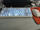 迈从（MCHOSE）Ace 68 V2磁轴键盘Gus同款RT电竞游戏低延迟60pro机械有线连接68键配列FPS双驱动无畏契约 Ace 68 V2 超竞版雾透白 星环磁轴+RT键 实拍图