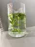 醉茗山2026年明前新茶 龙井500克正宗杭州豆香绿茶鲜芽嫩芽浓香型散装 实拍图