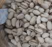 三只松鼠开心果250g/袋 无漂白每日坚果炒货休闲零食地方特产端午团购 实拍图