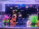 萌嘟星宠 仿真水草鱼缸造景套装水族箱布景装饰摆件假植塑料假水草 5件套 实拍图