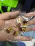 格立特（gelite）标准款不掉色中国少先队员队徽别针款强磁铁新版小学生校徽少年先锋队徽章儿童安全扣胸章 别针5个 实拍图